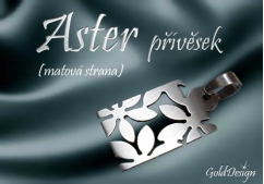 -Aster - přívěsek nerez ocel - mat